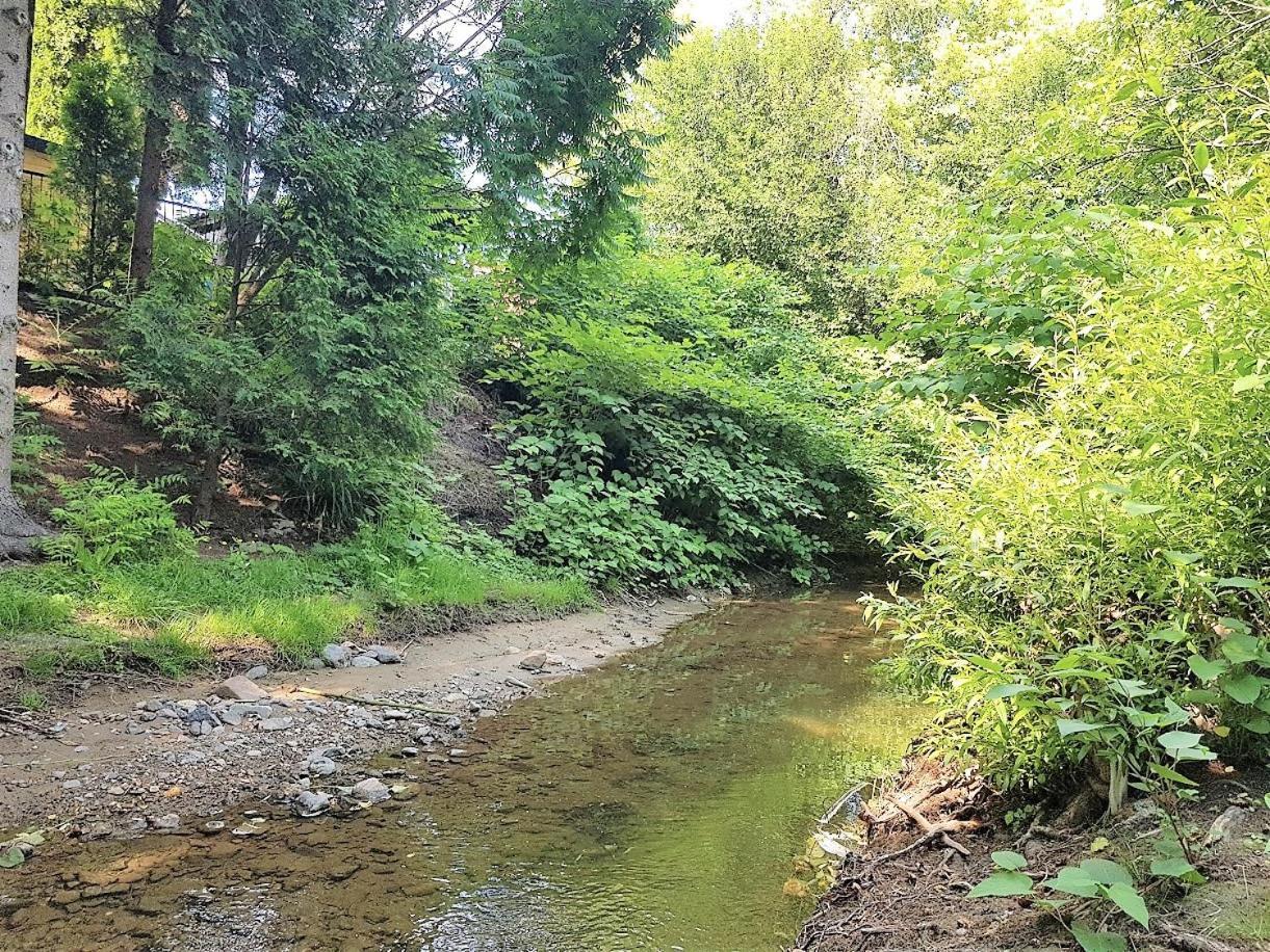 Muskátli Vendégház Ostello Parád Esterno foto