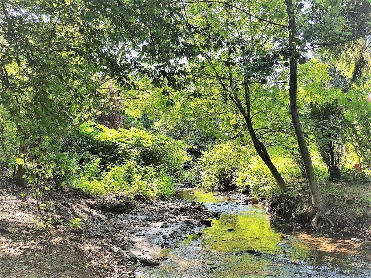 Muskátli Vendégház Ostello Parád Esterno foto